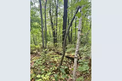 Xxx Lost Lake Trl, Cushing, MN 56443 - Photo 1