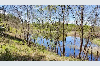 80086 Gruban Circle, Tower, MN 55790 - Photo 8