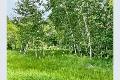 T134-R37 Sec.30    /  Hwy Hwy 67, Henning, MN 56551 - Photo 4