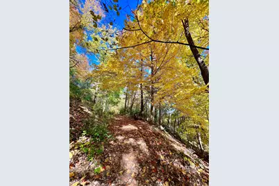 28589 Lake Avenue Way, Frontenac, MN 55026 - Photo 62