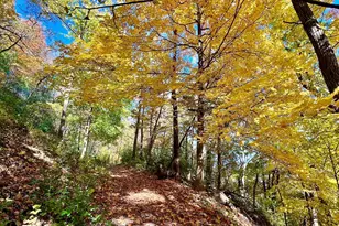 28589 Lake Ave Way, Frontenac, MN 55026 - Photo 62