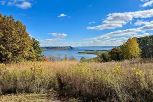 28589 Lake Ave Way, Frontenac, MN 55026 - Photo 10