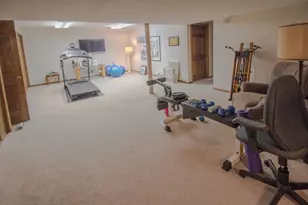 11545 39th Ave N, Plymouth, MN 55441 - Photo 22