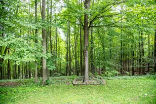 W828 Evergreen Ct, Spring Valley, WI 54767 - Photo 42