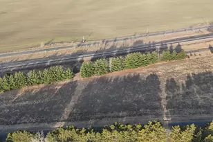 Xxx Lot 5 10th Ave NW, Rice, MN 56367 - Photo 1