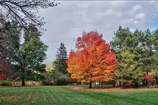 7331 175th Ave NW, Ramsey, MN 55303 - Photo 4