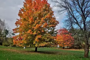 7331 175th Ave NW, Ramsey, MN 55303 - Photo 2