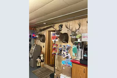 46023 State Highway 6, Deer River, MN 56636 - Photo 12