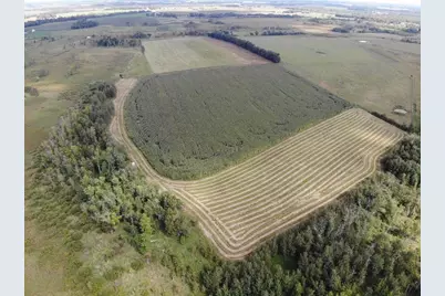 Tbd County 77, Verndale, MN 56481 - Photo 1