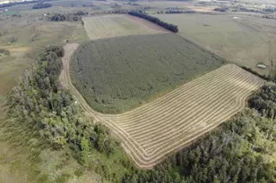 Tbd County 77, Verndale, MN 56481 - Photo 1