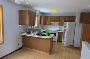 Tbd Andrusia Road SE, Cass Lake, MN 56633 - Photo 4