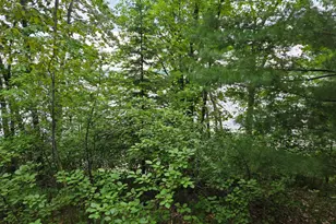 Tbd Andrusia Road SE, Cass Lake, MN 56633 - Photo 14