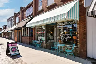 521 Douglas Dr S, Annandale, MN 55302 - Photo 20