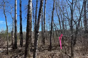 46962 269th Ave Parcel B, Laporte, MN 56461 - Photo 1