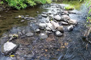 5224 W 70th St, Edina, MN 55439 - Photo 28