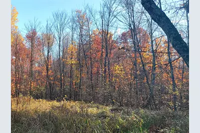 Tbd US Hwy 77, Minong, WI 54859 - Photo 4