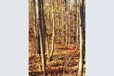 Tbd US Hwy 77, Minong, WI 54859 - Photo 6