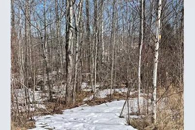 6630 Voyageurs Trail, Biwabik, MN 55708 - Photo 4