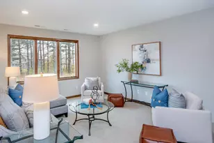 9160 62nd St S, Cottage Grove, MN 55016 - Photo 28