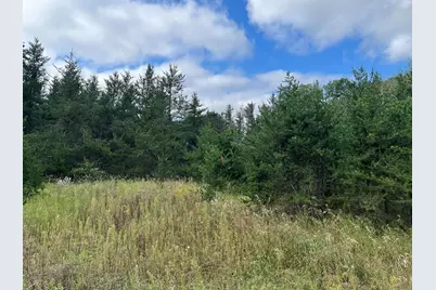 1707 Hassman Hill Tract D Road SW, Pine River, MN 56474 - Photo 1