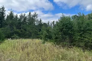 1707 Hassman Hill Tract D Road SW, Pine River, MN 56474 - Photo 1