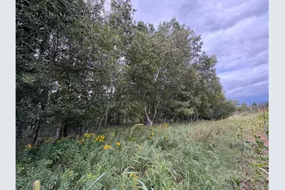 Lot 2 Lever Street NE, Isanti, MN 55040 - Photo 14