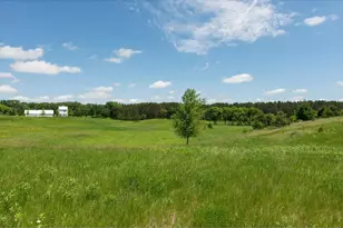 167 Osprey Ln, Marine on Saint Croix, MN 55047 - Photo 8