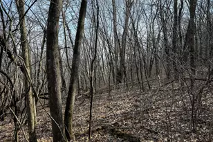 27466 County 5 Blvd, Red Wing, MN 55066 - Photo 48