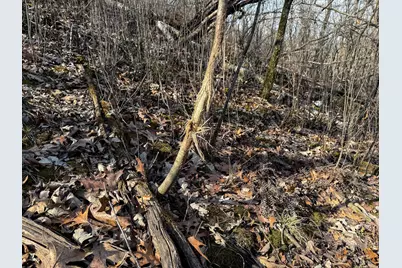 27466 County 5 Boulevard, Red Wing, MN 55066 - Photo 52