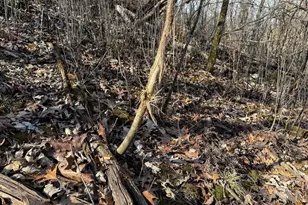 27466 County 5 Blvd, Red Wing, MN 55066 - Photo 52