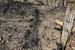 27466 County 5 Blvd, Red Wing, MN 55066 - Photo 38