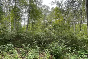 Lot 1 Patriot Ave, Pequot Lakes, MN 56472 - Photo 1