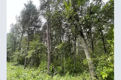 Lot 2 Patriot Ave, Pequot Lakes, MN 56472 - Photo 6