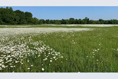 Xxxxx County Road Z, Trade Lake, WI 54840 - Photo 16