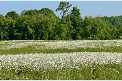 Xxxxx County Road Z, Trade Lake, WI 54840 - Photo 10
