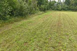 Tbd Tangnes Forest Rd, Southeast Roseau Unorg. Terr., MN 56673 - Photo 20