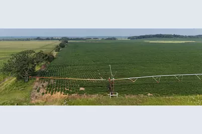 Tbd County 61, Browerville, MN 56438 - Photo 10