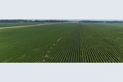 Tbd County 61, Browerville, MN 56438 - Photo 10