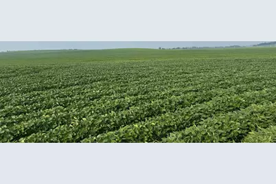 0000 County 61, Browerville, MN 56438 - Photo 10