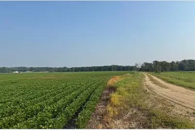 0000 County 61, Browerville, MN 56438 - Photo 8