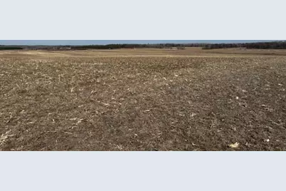 0000 County 61, Browerville, MN 56438 - Photo 54