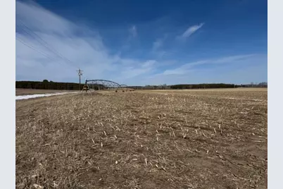 0000 County 61, Browerville, MN 56438 - Photo 48