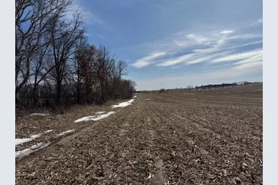 0000 County 61, Browerville, MN 56438 - Photo 40