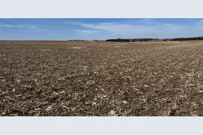 0000 County 61, Browerville, MN 56438 - Photo 42