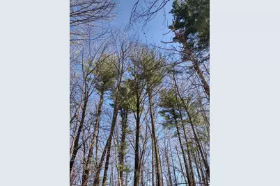 Lot 35 N4Xx 297th Street, Eau Galle, WI 54737 - Photo 16