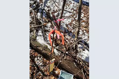 Lot 35 N4Xx 297th Street, Eau Galle, WI 54737 - Photo 18