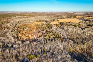 16355 Wildflower Ln NE, Cormant Twp, MN 56630 - Photo 42