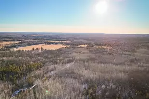 16355 Wildflower Ln NE, Cormant Twp, MN 56630 - Photo 44