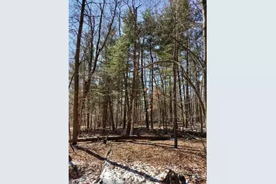 Lot 18 N4Xx 297th Street, Eau Galle, WI 54737 - Photo 16