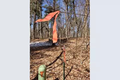 Lot 18 N4Xx 297th Street, Eau Galle, WI 54737 - Photo 20